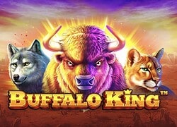 Buffalo King slot game